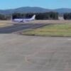 Watch: Bear runs onto airport tarmac, halting flights