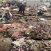 GH¢3.1 million in Onions Rot at Adjen Kotoku as Traders Face Total Ruin