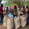 Cocoa production drastically drops in Volta and Oti Regions due to smuggling – COCOBOD