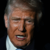 Trump calls on House Republicans to vote to release Epstein files