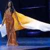 Video: Jamaica Miss Universe contestant rushed to hospital after falling off stage 