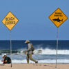 A Question Circling Sydney’s Beaches: Do We Still Need Shark Nets?