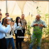 Desert bloom: Israeli organic farmers’ innovation turn arid land into thriving oasis