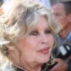 French cinema actress Brigitte Bardot dies aged 91