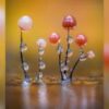 Photographing the hidden world of slime mould