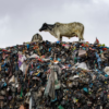 ‘Obroni wawu’ – The paradise of waste: Where Charity becomes a curse