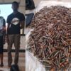 Police intercept bus, arrest two with 2,600 AK 47 ammunition at Kantanso