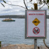 Australian Boy, 12, Dies After Shark Attack Near Sydney